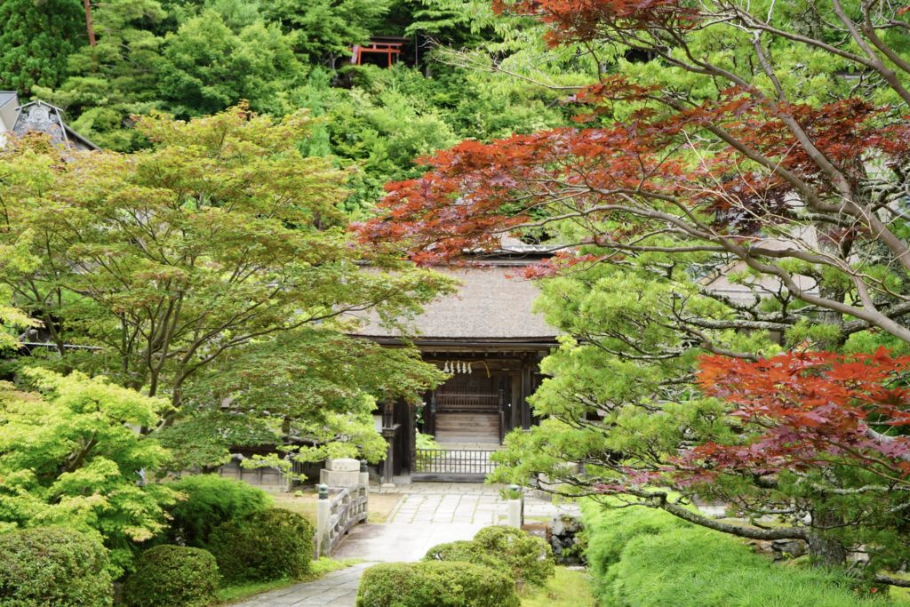 お寺の修業を手軽に体験　宿坊
