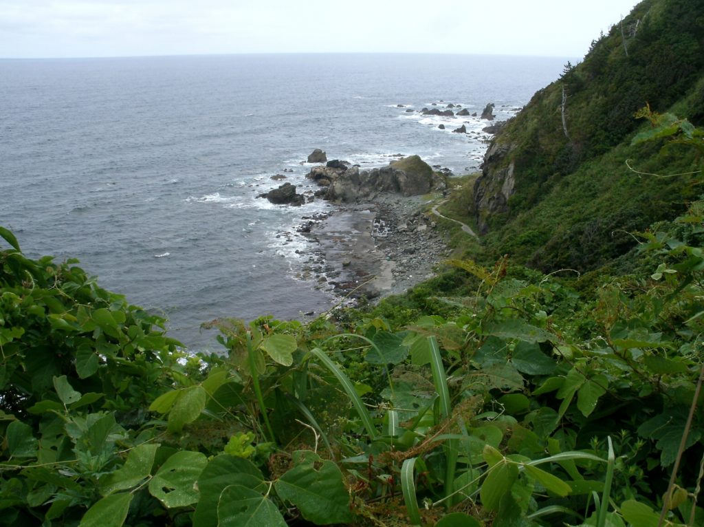 日本海最大の島 魅力あふれる佐渡島観光