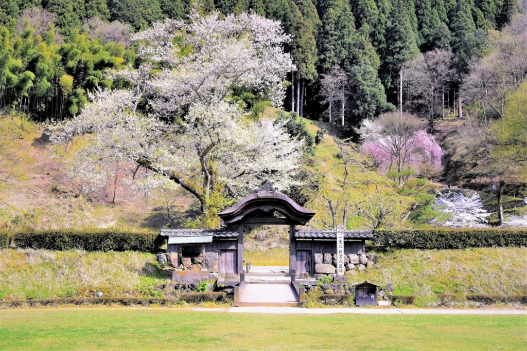 戦国時代の城下町を堪能 越前朝倉氏の一乗谷城
