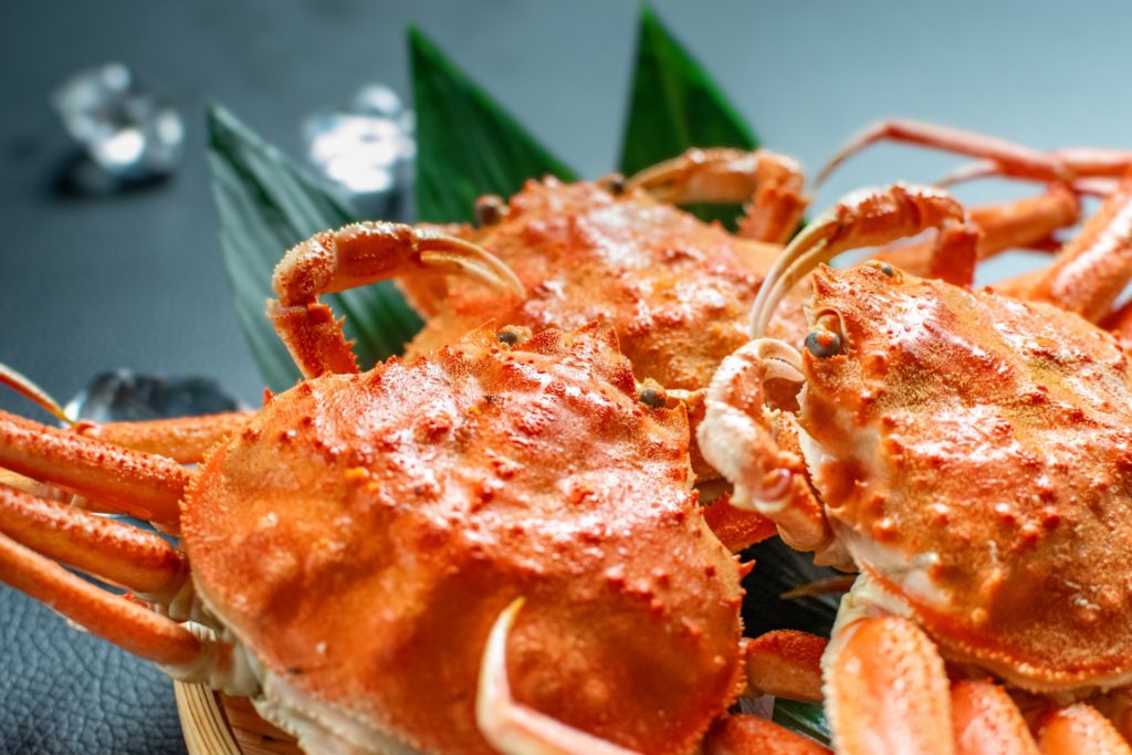 若狭湾の海鮮と清らかな水源 福井県の食文化・ご当地グルメ