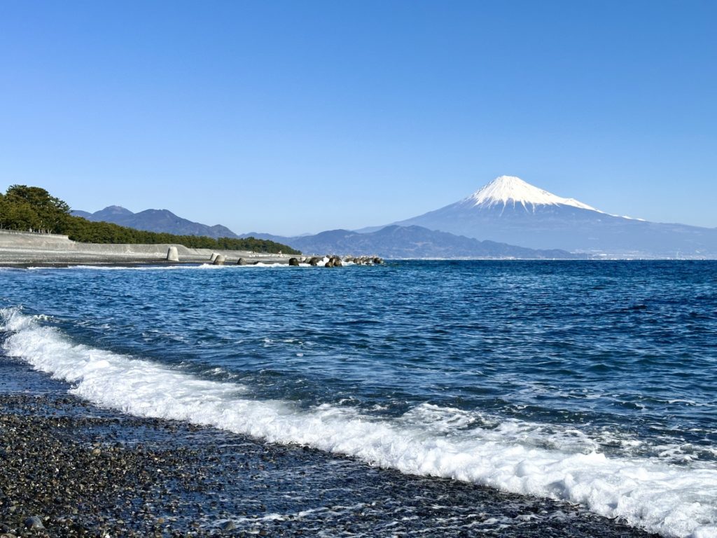 エリアごとに個性豊か！静岡県の定番観光スポット