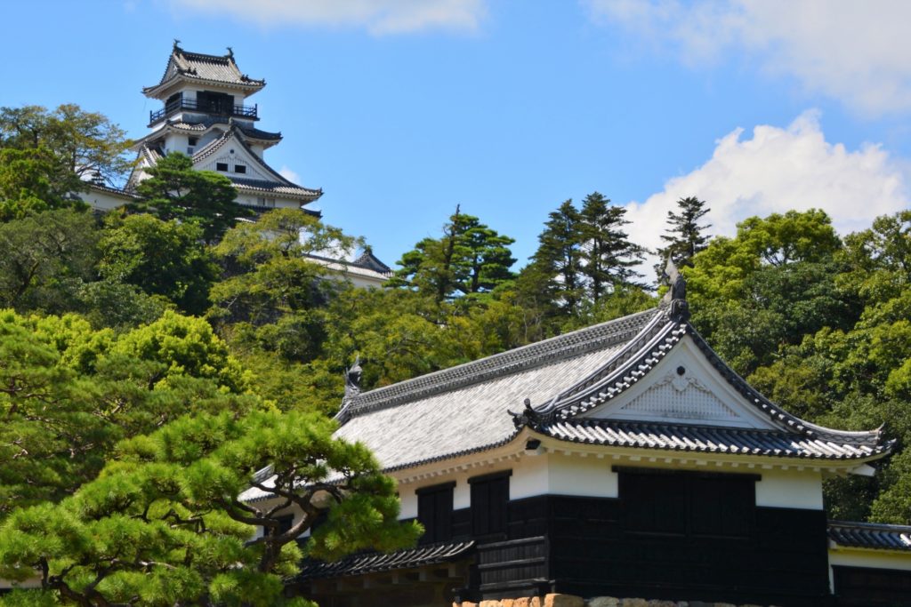 本丸全体の建物が現存する美しい「鷹城」 高知城の歴史と見どころ