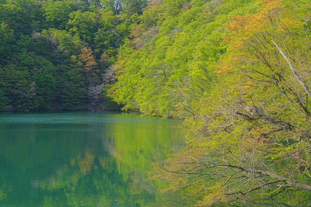 新しい自分を探しに 北海道・東北地方のひとり旅おすすめスポット