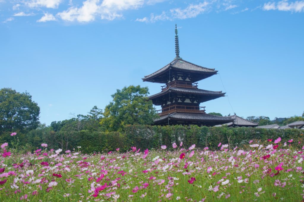 日本仏教の変遷が詰まった世界最古の木造建築群 法隆寺の歴史と見どころ