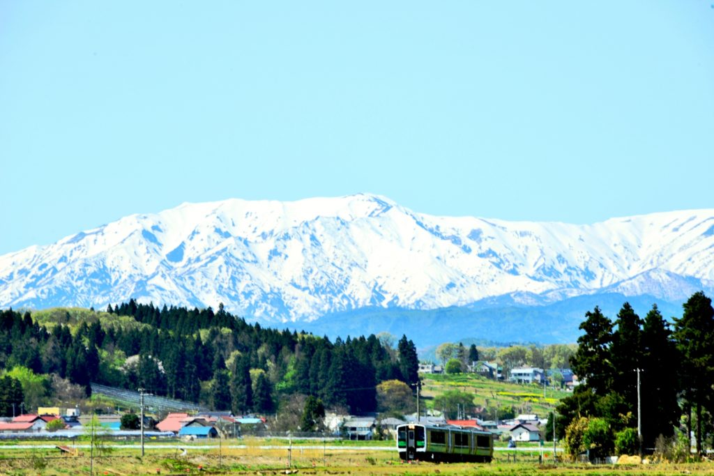 東北最大規模の山城 向羽黒山城の歴史と見どころ