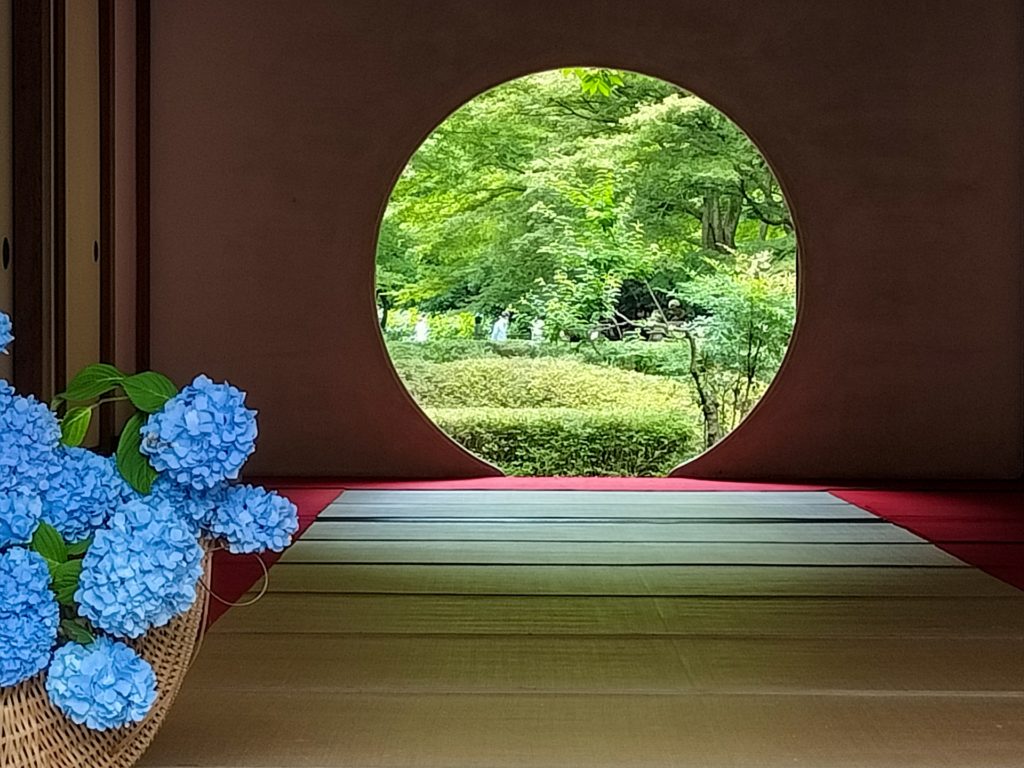 明月院ブルーが美しいあじさい寺 明月院の歴史と見どころ