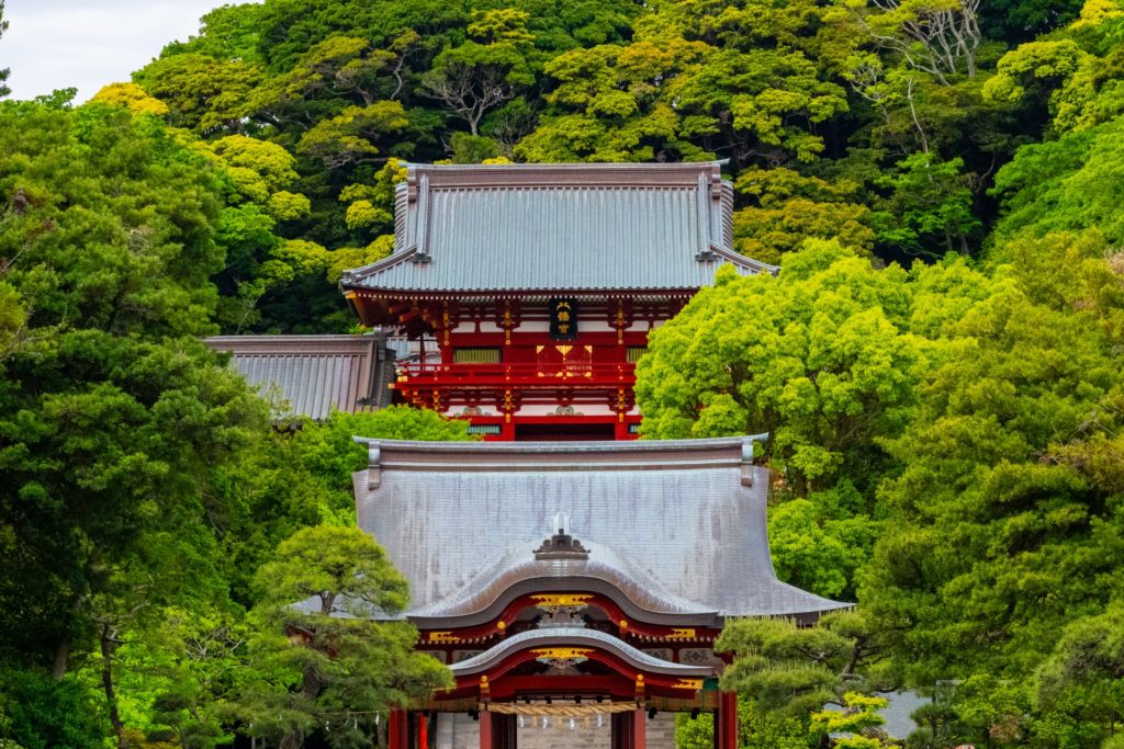鎌倉観光のメインスポット 鶴岡八幡宮の歴史と見どころ