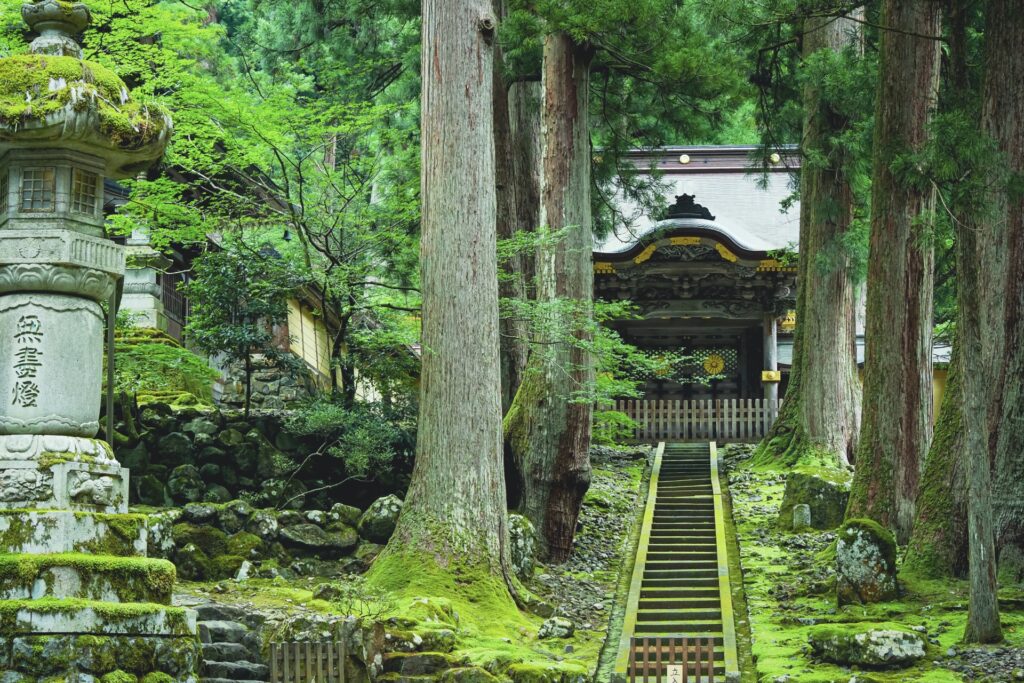 禅の修行に触れる 永平寺の歴史と見どころ