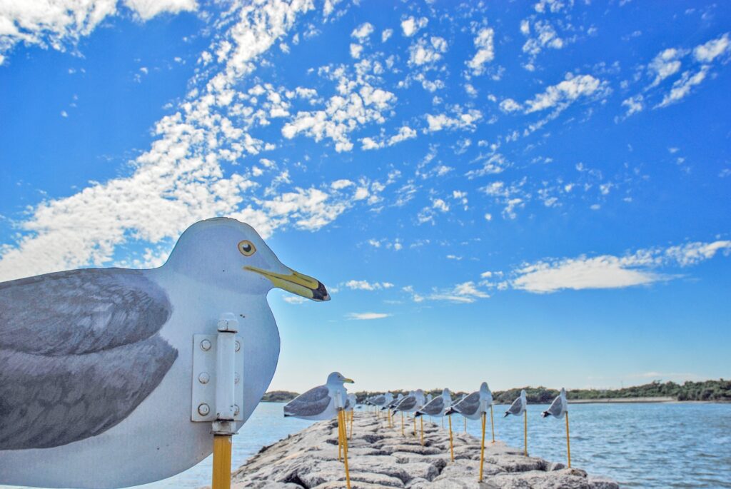 名古屋からも好アクセス アートの島・佐久島の定番観光スポット