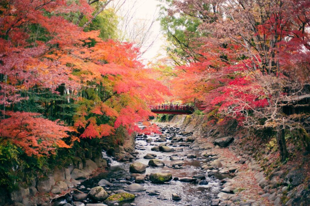 都市部からのアクセスも抜群 東海地方の紅葉の名所
