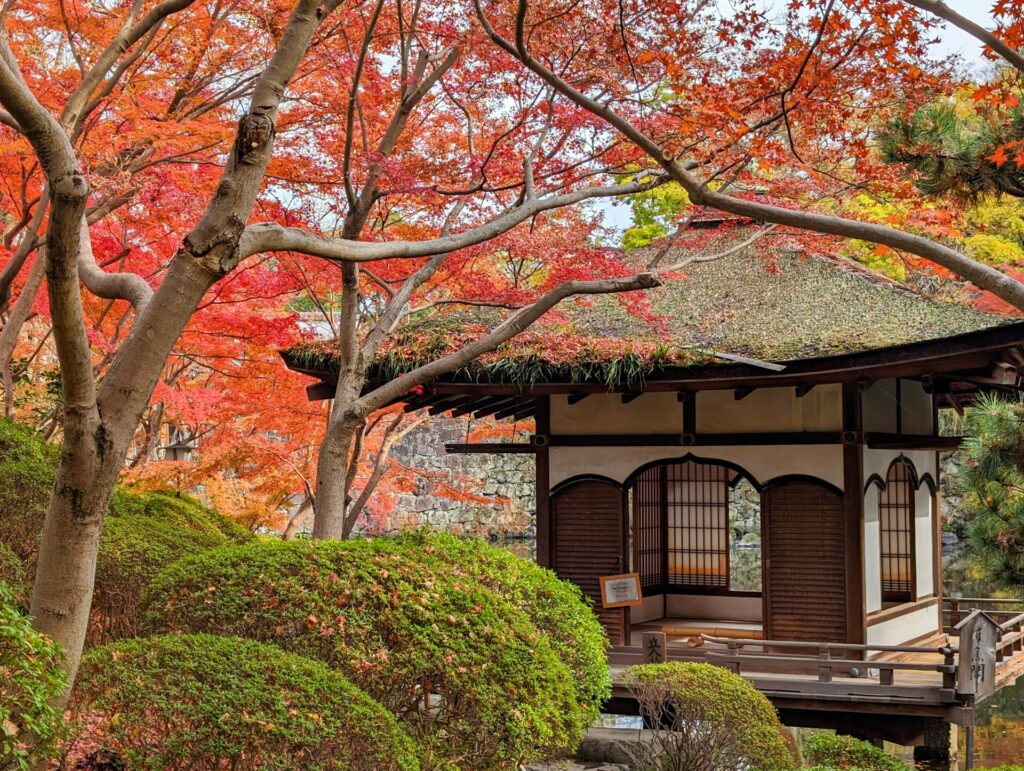 神秘的な秋を探しに行こう 和歌山県の紅葉の名所