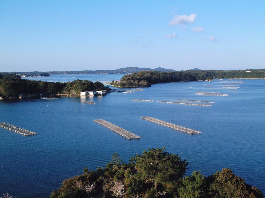 真珠の取り出し体験も 三重県の真珠について