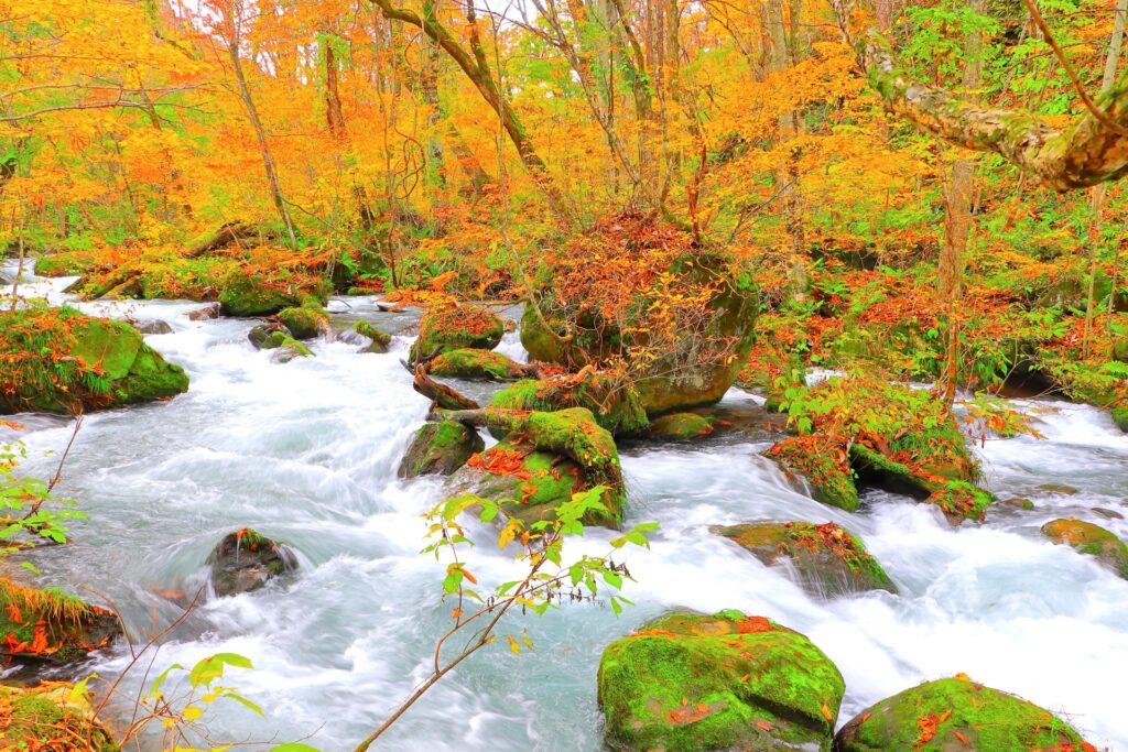 ダイナミックな自然とのコントラストが楽しめる 東北地方の紅葉の名所