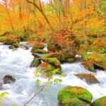 ダイナミックな自然とのコントラストが楽しめる 東北地方の紅葉の名所