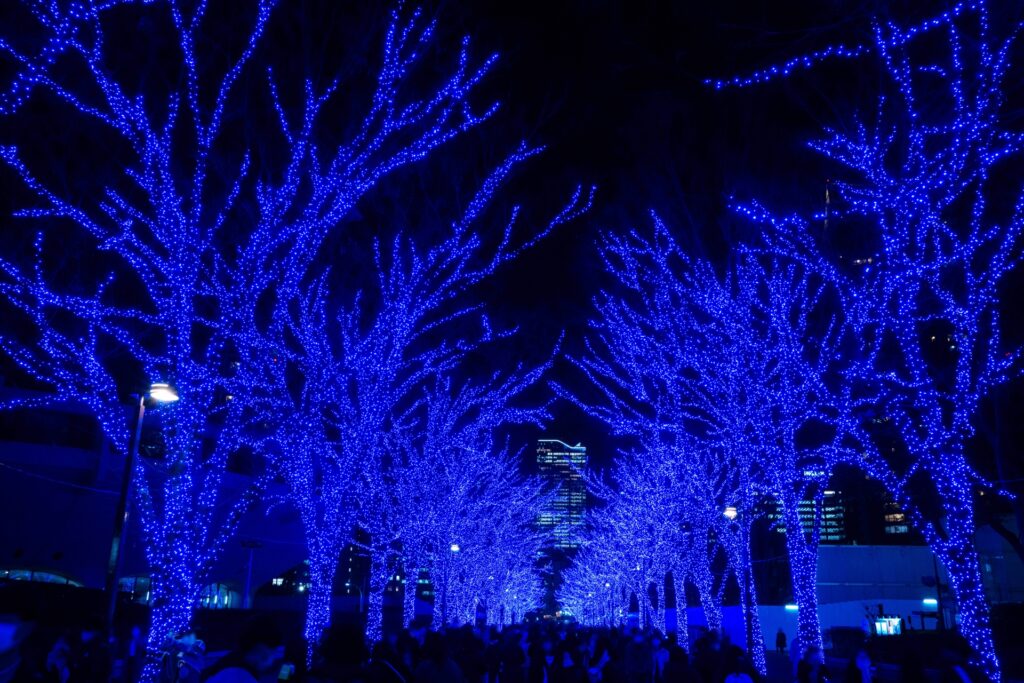 首都圏の冬の夜を彩る 関東甲信地方のおすすめイルミネーションスポット