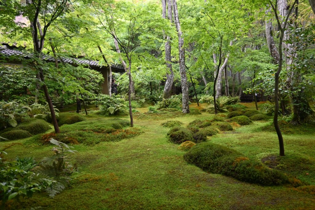 悲恋物語で有名な洛西の名所 祇王寺の歴史・見どころ