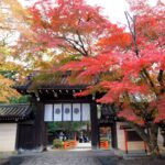 平安京よりも長い歴史を持つ 今宮神社の歴史・見どころ