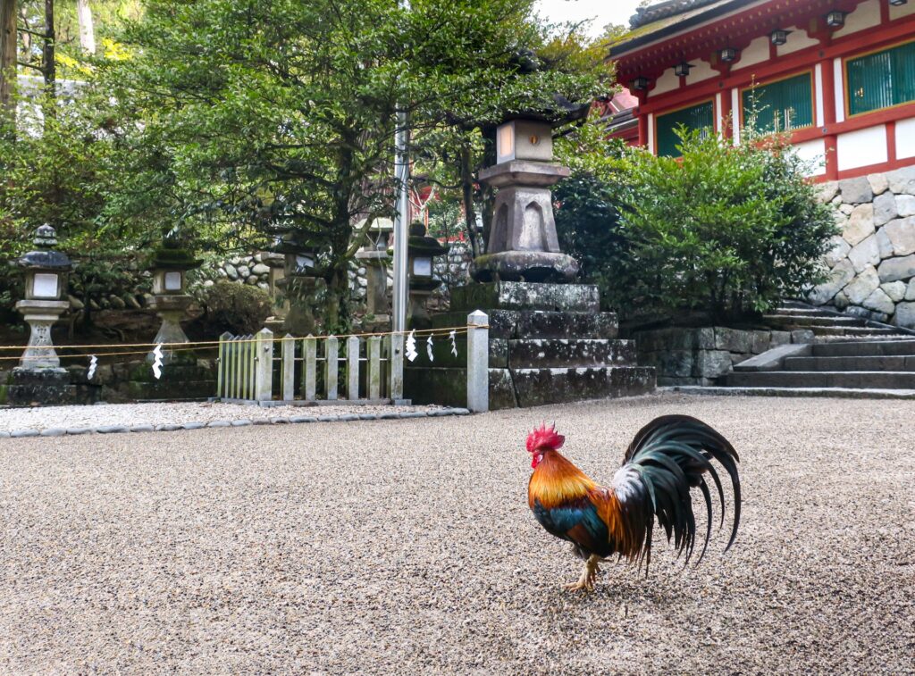物部氏の総氏神にして日本最古の神社 石上神宮の歴史・見どころ