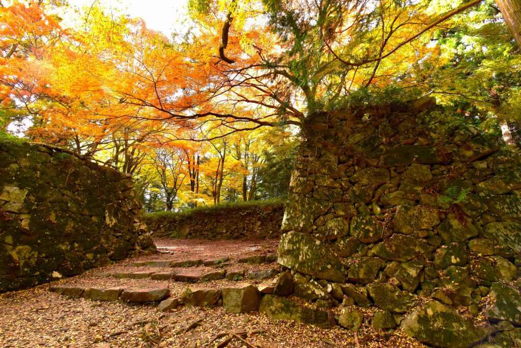 見ごたえ抜群 奈良県の名城