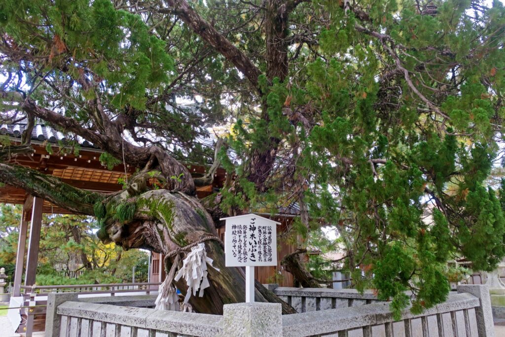 謡曲でも有名 高砂神社の歴史・見どころ・周辺観光