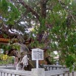 謡曲でも有名 高砂神社の歴史・見どころ・周辺観光