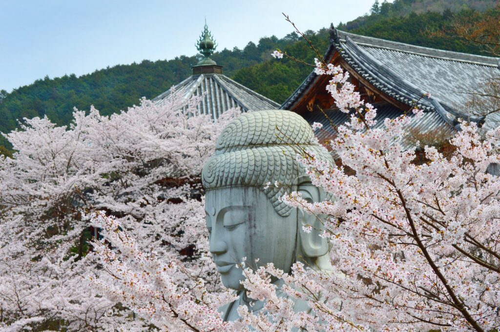 目の観音様と桜大仏 壷阪寺の歴史・見どころ