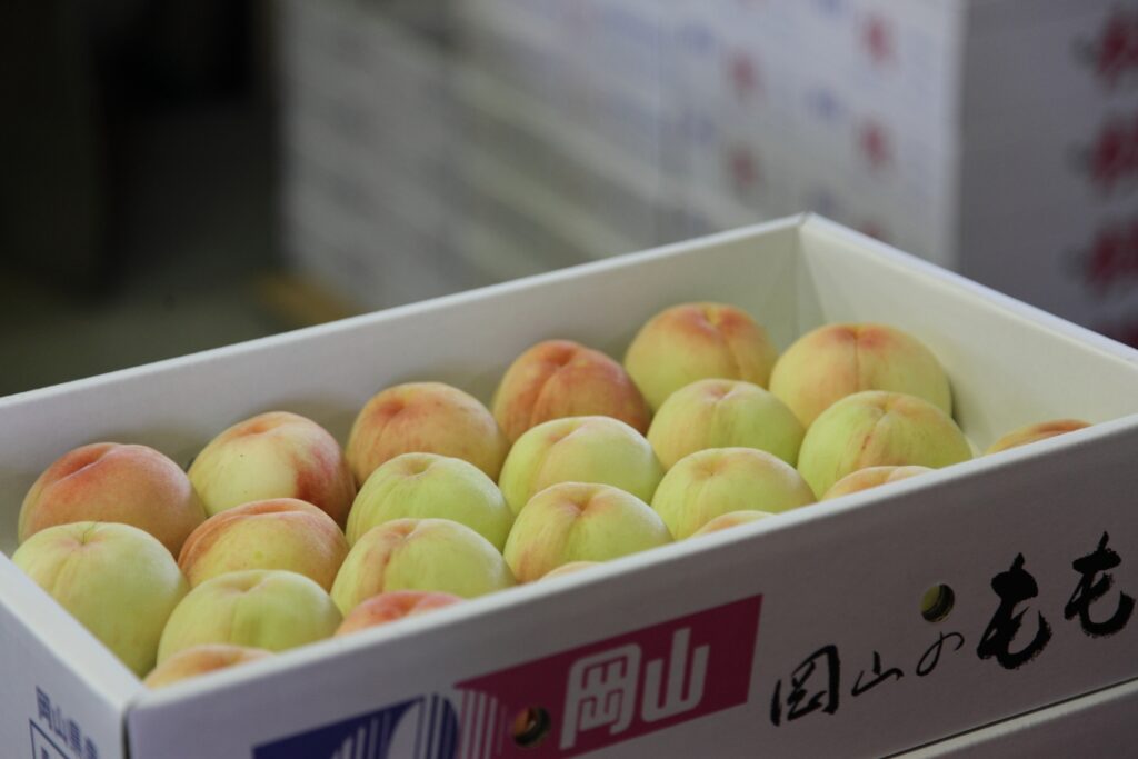 日本有数のくだもの王国 岡山のフルーツ