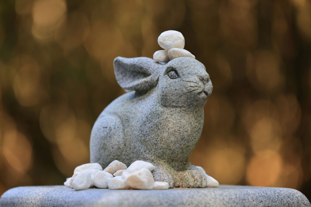 ラブストーリー発祥の地⁈ 白兎神社の歴史・見どころ