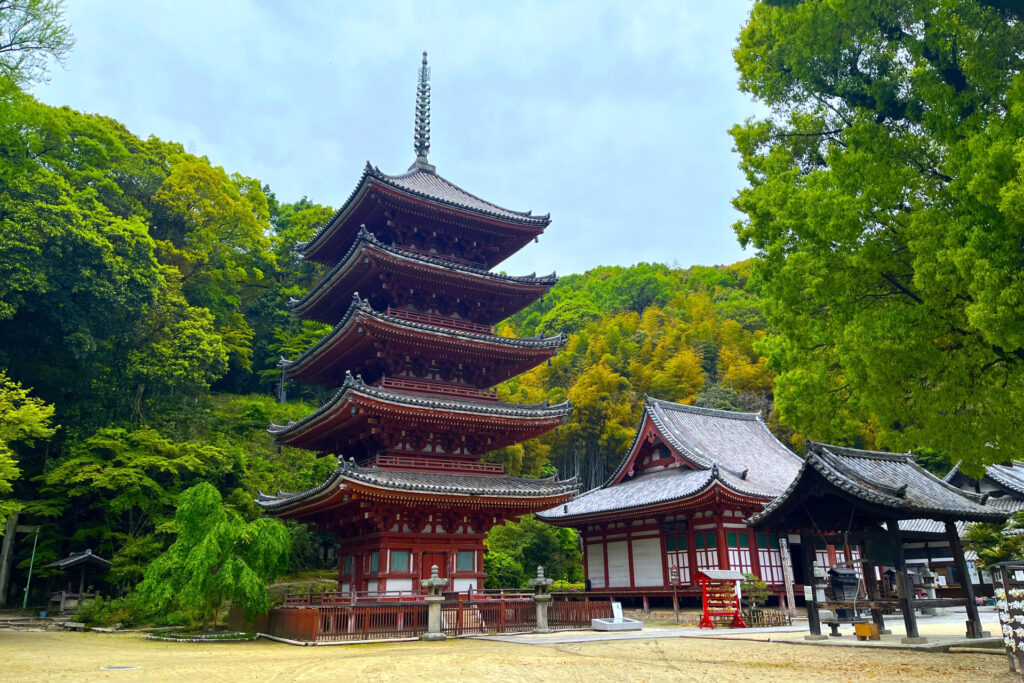 城下町・福山を見下ろす国宝 明王院の歴史・見どころ