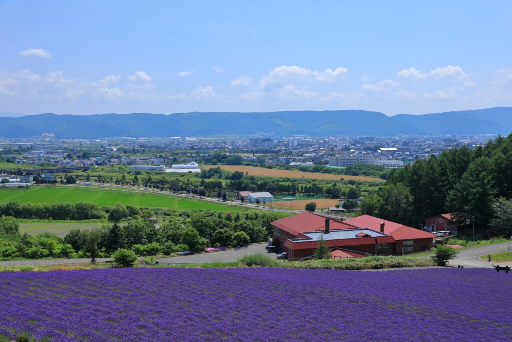 夏の北海道を楽しもう！避暑地とホテル・旅館の選び方を解説