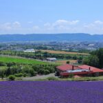 夏の北海道を楽しもう！避暑地とホテル・旅館の選び方を解説